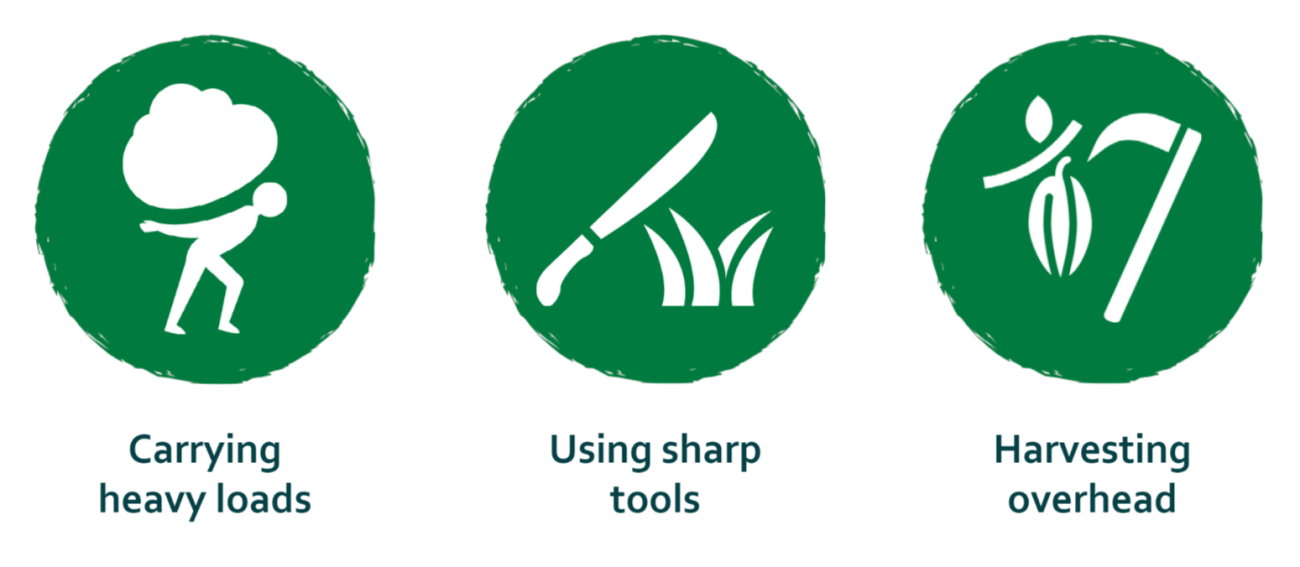 Annual Report 2021 ICI Cocoa Initiative